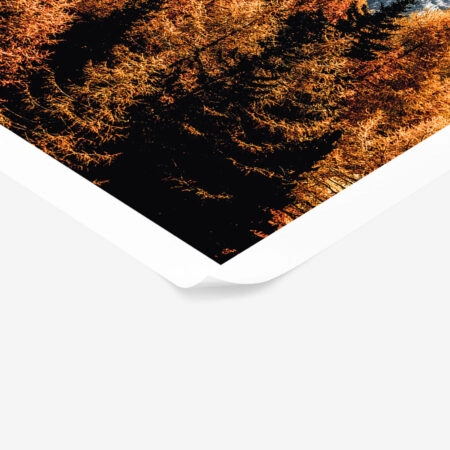 Poster RUSTIC FARMHOUSE MOUNTAIN LIFE 4 -  Sticky 1