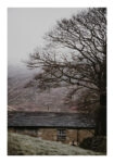 Poster RUSTIC FARMHOUSE MOUNTAIN LIFE 7