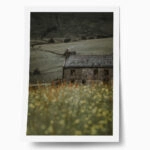 Poster RUSTIC FARMHOUSE MOUNTAIN LIFE 8