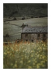 Poster RUSTIC FARMHOUSE MOUNTAIN LIFE 8