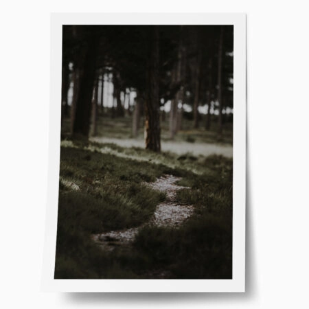 Poster RUSTIC FARMHOUSE MOUNTAIN PATH - 