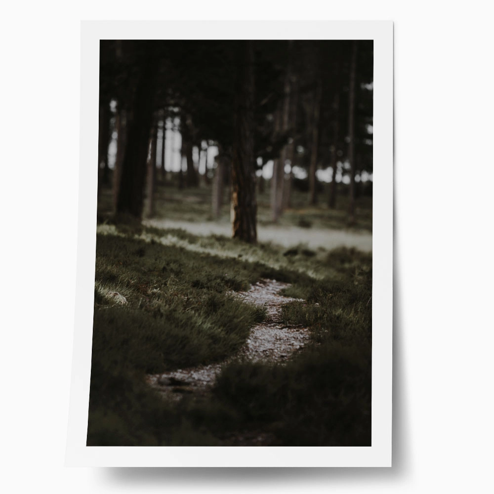Poster RUSTIC FARMHOUSE MOUNTAIN PATH