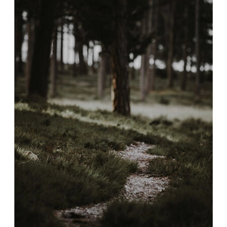 Poster RUSTIC FARMHOUSE MOUNTAIN PATH -  Sticky 2