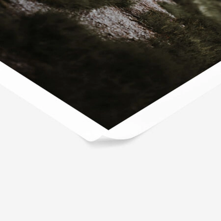 Poster RUSTIC FARMHOUSE MOUNTAIN PATH -  Sticky 1