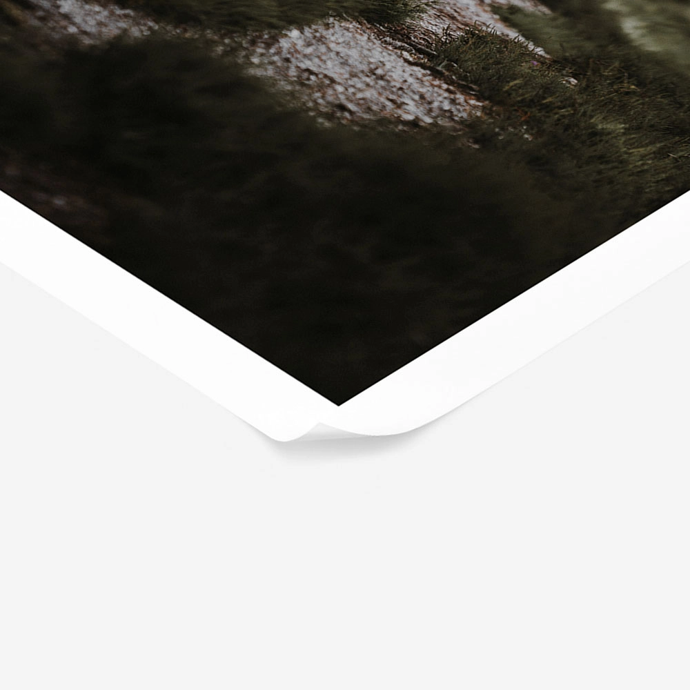 Poster RUSTIC FARMHOUSE MOUNTAIN PATH