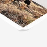 Poster RUSTIC FARMHOUSE OLD CARRIAGE
