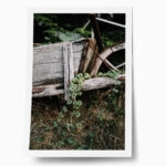 Poster RUSTIC FARMHOUSE OLD CART