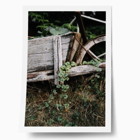 Poster RUSTIC FARMHOUSE OLD CART - 