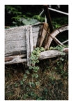 Poster RUSTIC FARMHOUSE OLD CART