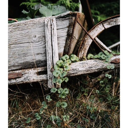 Poster RUSTIC FARMHOUSE OLD CART -  Sticky 2
