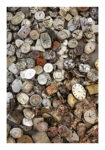 Poster RUSTIC FARMHOUSE OLD CLOCKS