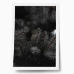 Poster RUSTIC FARMHOUSE PINE LEAVES 2