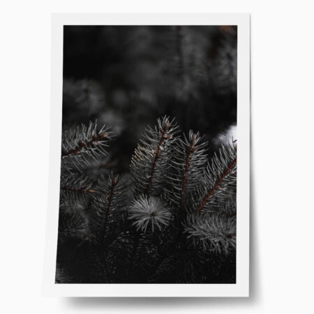 Poster RUSTIC FARMHOUSE PINE LEAVES 2 - 
