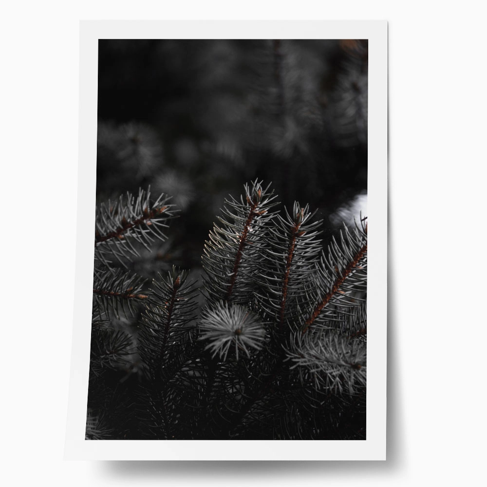 Poster RUSTIC FARMHOUSE PINE LEAVES 2