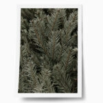 Poster RUSTIC FARMHOUSE PINE LEAVES