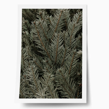 Poster RUSTIC FARMHOUSE PINE LEAVES - 