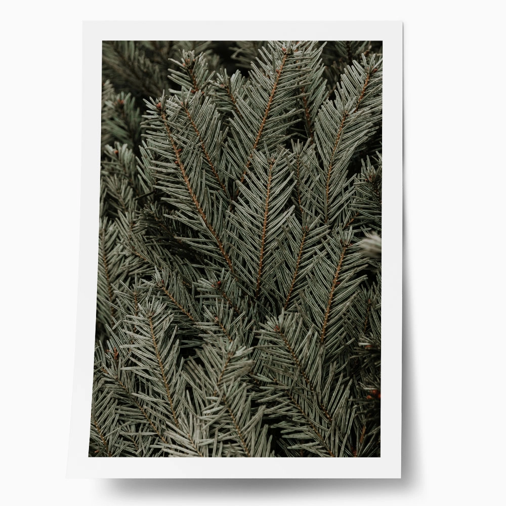 Poster RUSTIC FARMHOUSE PINE LEAVES