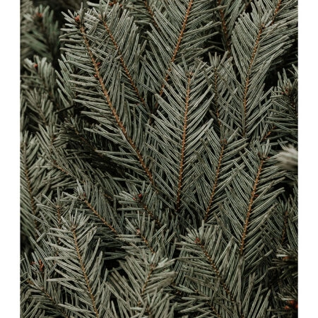 Poster RUSTIC FARMHOUSE PINE LEAVES -  Sticky 2