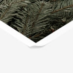 Poster RUSTIC FARMHOUSE PINE LEAVES