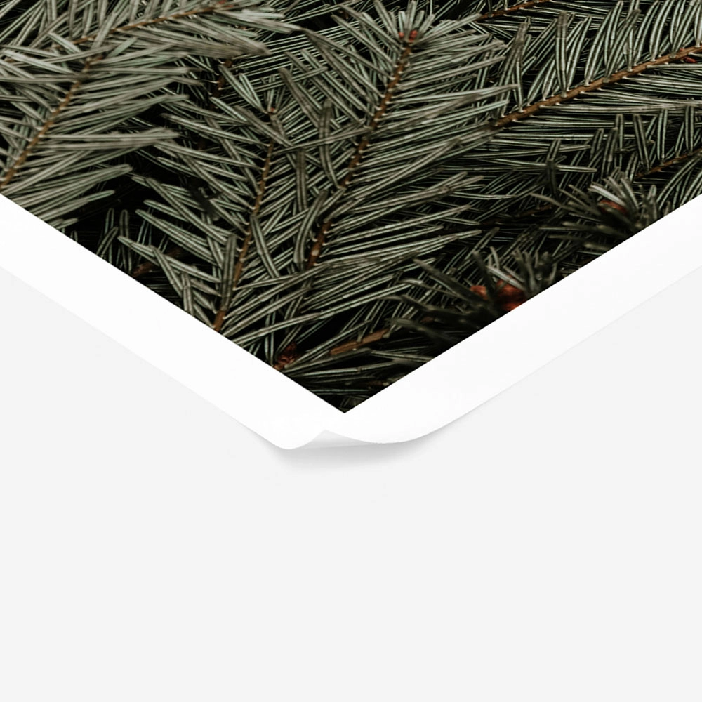 Poster RUSTIC FARMHOUSE PINE LEAVES