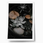Poster RUSTIC FARMHOUSE PLANTS