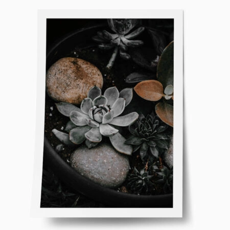 Poster RUSTIC FARMHOUSE PLANTS - 