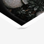 Poster RUSTIC FARMHOUSE PLANTS