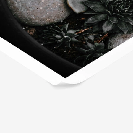 Poster RUSTIC FARMHOUSE PLANTS -  Sticky 1