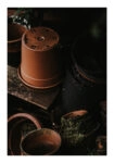 Poster RUSTIC FARMHOUSE POTS 2