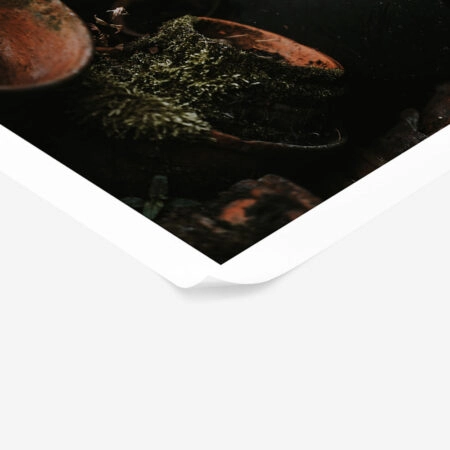 Poster RUSTIC FARMHOUSE POTS 2 -  Sticky 1