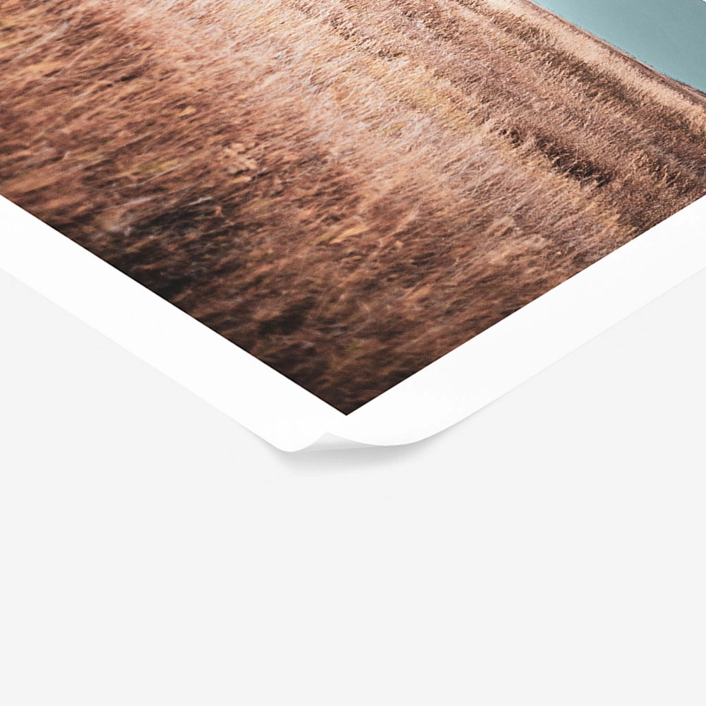 Poster RUSTIC FARMHOUSE PRAIRIE HOUSE