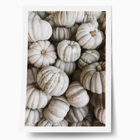 Poster RUSTIC FARMHOUSE PUMPKINS 2 - 