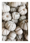 Poster RUSTIC FARMHOUSE PUMPKINS 2
