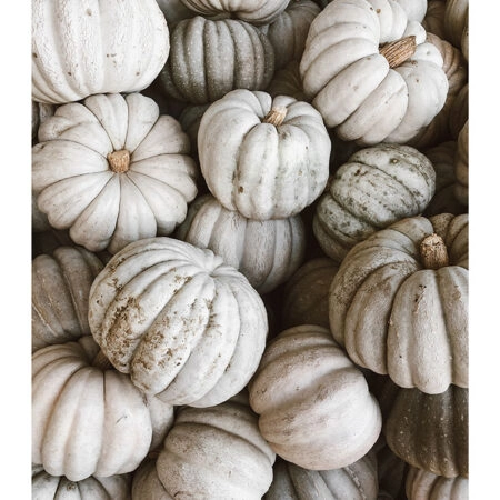 Poster RUSTIC FARMHOUSE PUMPKINS 2 -  Sticky 2