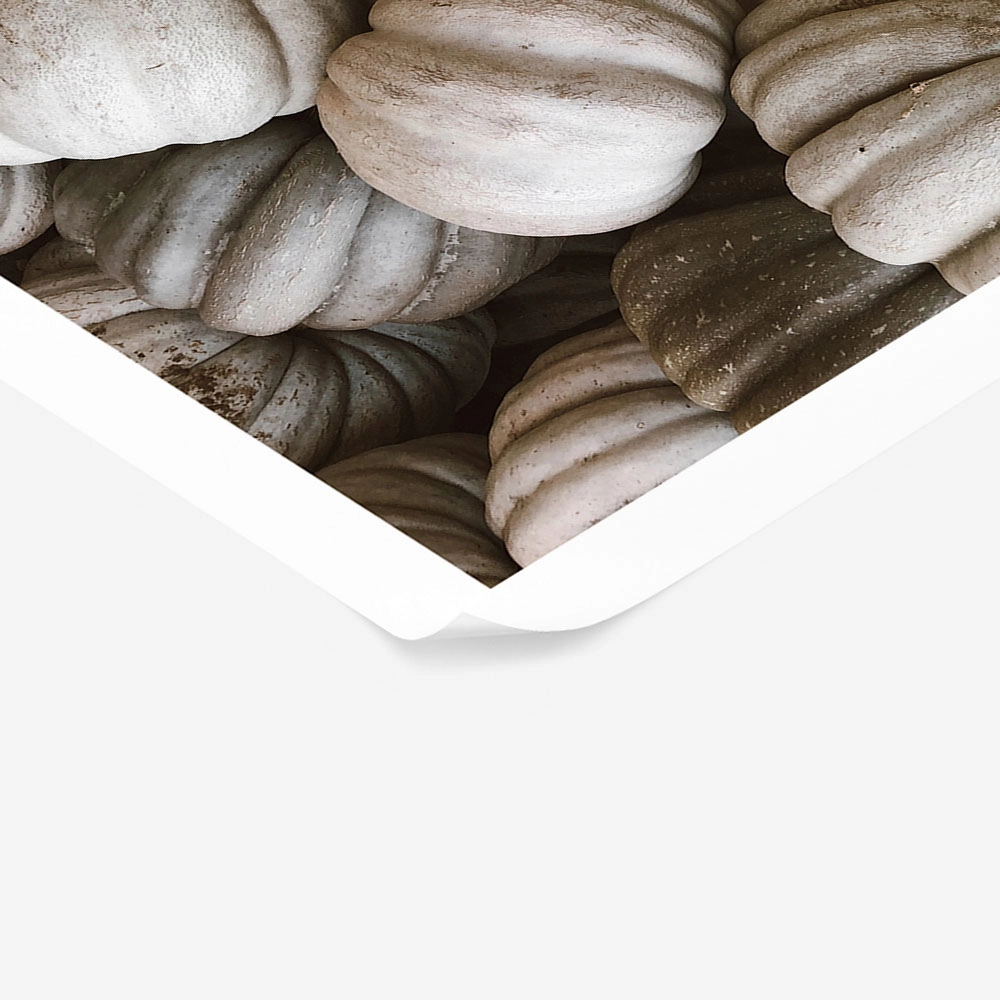 Poster RUSTIC FARMHOUSE PUMPKINS 2