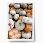 Poster RUSTIC FARMHOUSE PUMPKINS 3