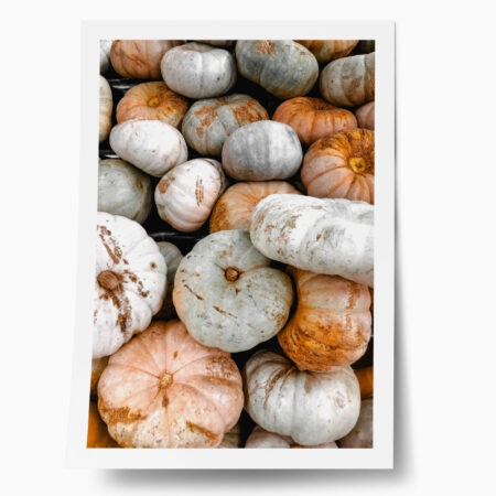 Poster RUSTIC FARMHOUSE PUMPKINS 3 - 