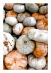 Poster RUSTIC FARMHOUSE PUMPKINS 3