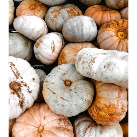 Poster RUSTIC FARMHOUSE PUMPKINS 3 -  Sticky 2
