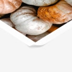 Poster RUSTIC FARMHOUSE PUMPKINS 3