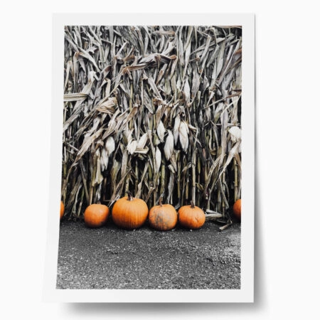 Poster RUSTIC FARMHOUSE PUMPKINS 5 - 