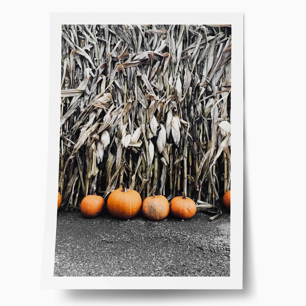 Poster RUSTIC FARMHOUSE PUMPKINS 5