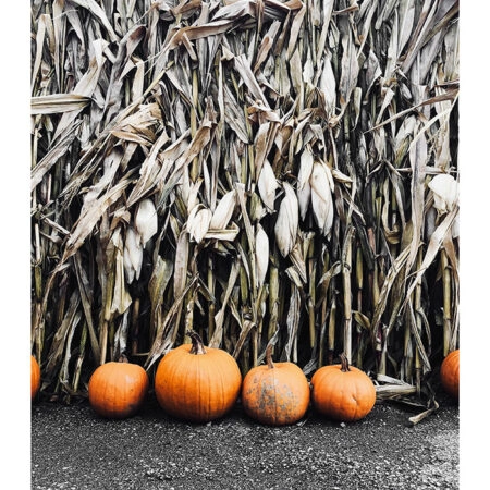 Poster RUSTIC FARMHOUSE PUMPKINS 5 -  Sticky 2