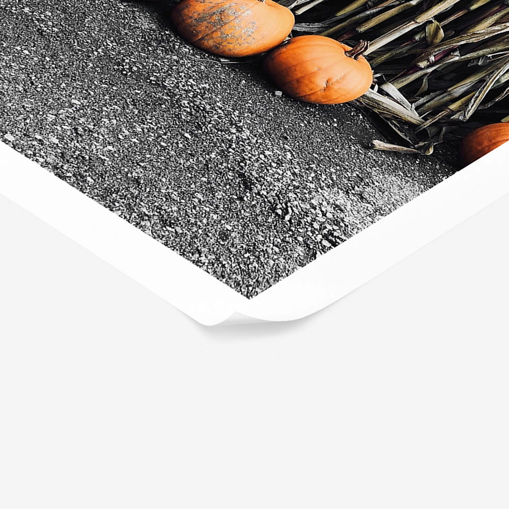 Poster RUSTIC FARMHOUSE PUMPKINS 5