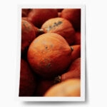 Poster RUSTIC FARMHOUSE PUMPKINS