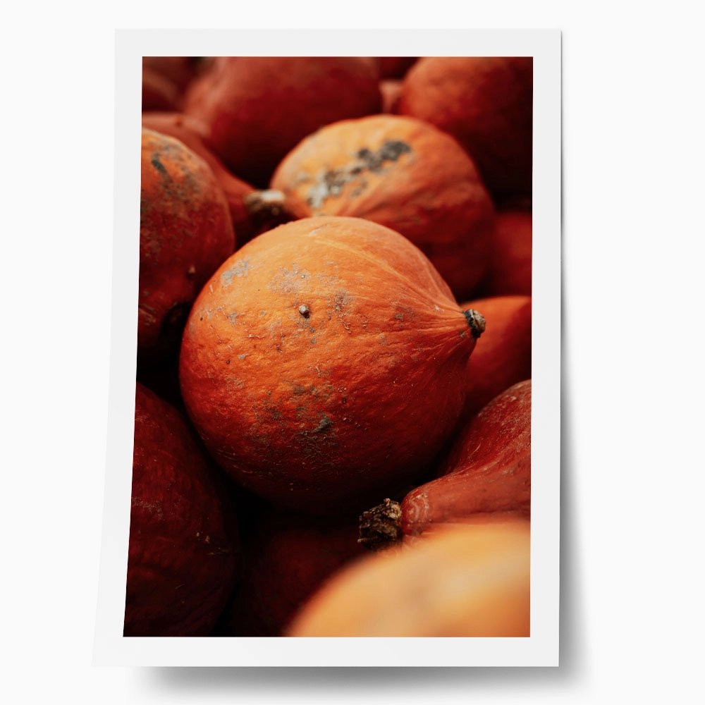 Poster RUSTIC FARMHOUSE PUMPKINS