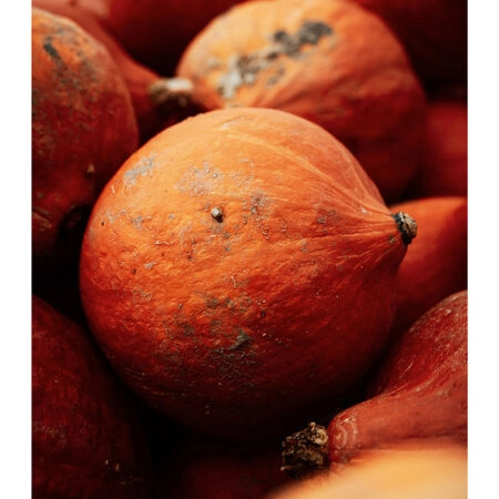 Poster RUSTIC FARMHOUSE PUMPKINS -  Sticky 2