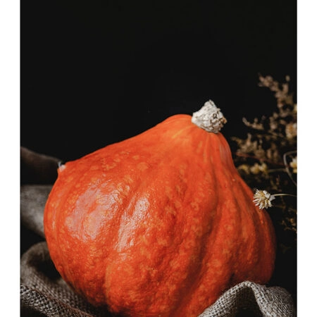 Poster RUSTIC FARMHOUSE PUMPKIN -  Sticky 2