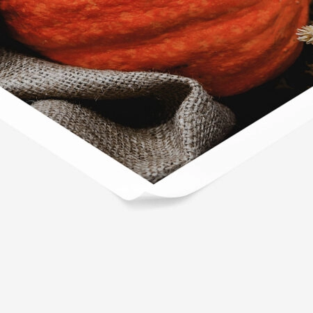 Poster RUSTIC FARMHOUSE PUMPKIN -  Sticky 1