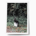 Poster RUSTIC FARMHOUSE RABBIT 2